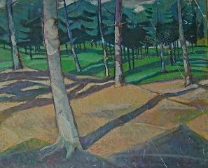 Pine Forest